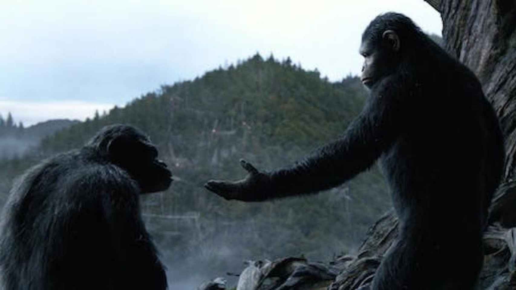 Fotograma de una de las películas de la franquicia 'El planeta de los simios'.