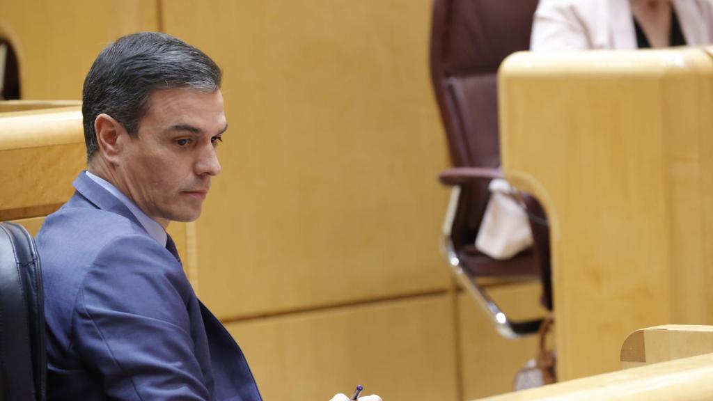 El presidente del Gobierno, Pedro Sánchez, durante una sesión de control en el Senado.