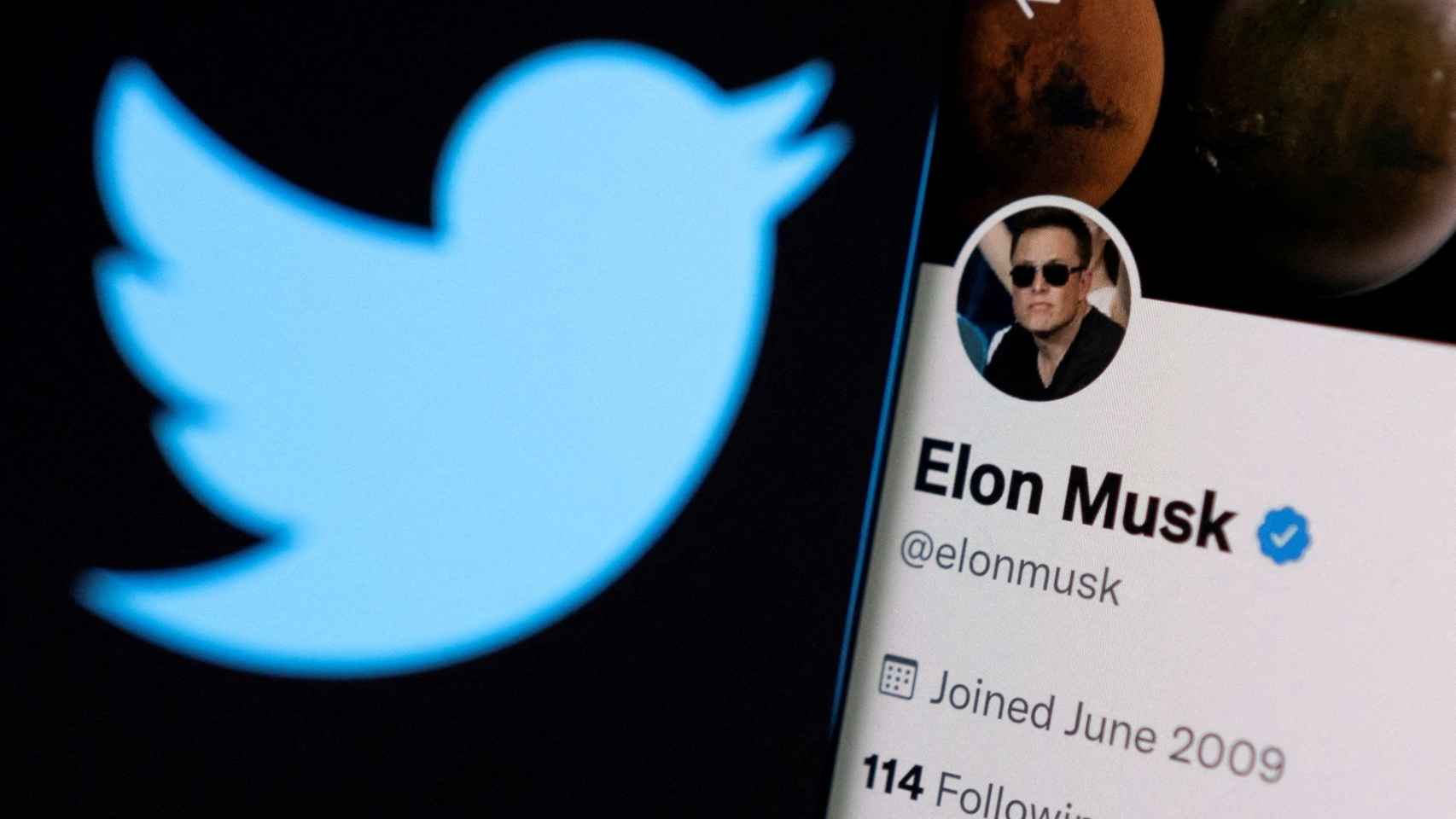 El logo de Twitter junto a la cuenta de Elon Musk en la red social.