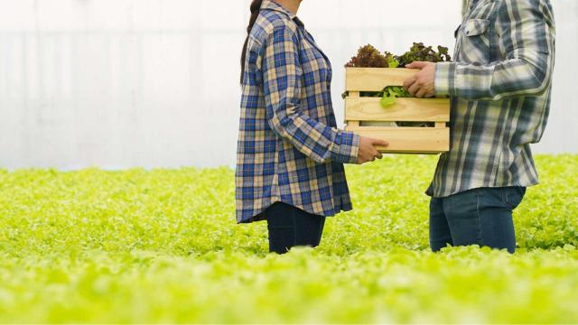 Ley de la cadena alimentaria