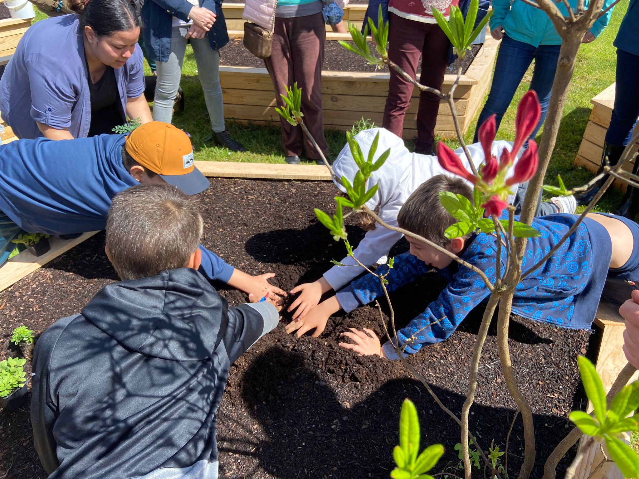 Niños colaborando el pasado sábado en la huerta urbana de Nigrán.