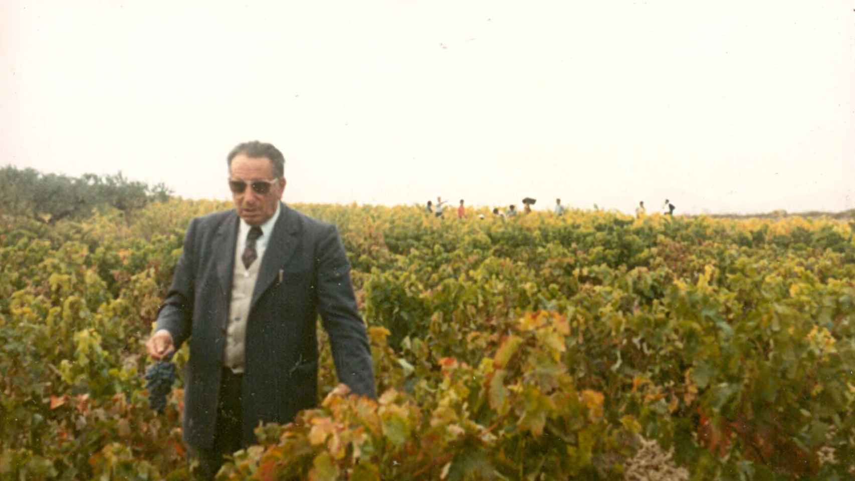Don Faustino, el abuelo de Carmen y Lourdes, en sus viñedos.