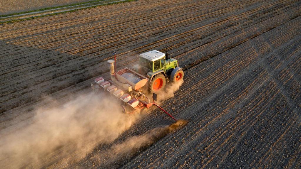 Campos de cultivo agrícola.