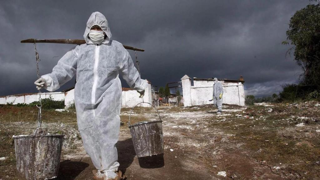 Trabajadores de cuarentena en un lugar tras un brote de la gripe aviar, en una foto de archivo. EFE/STR