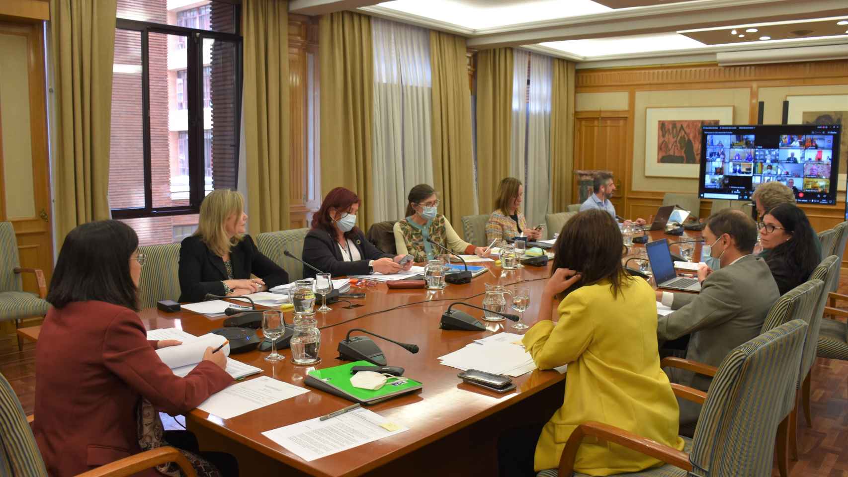 Altos cargos del Ministerio durante la reunión del Consejo Interterritorial de Sanidad en una imagen de archivo.