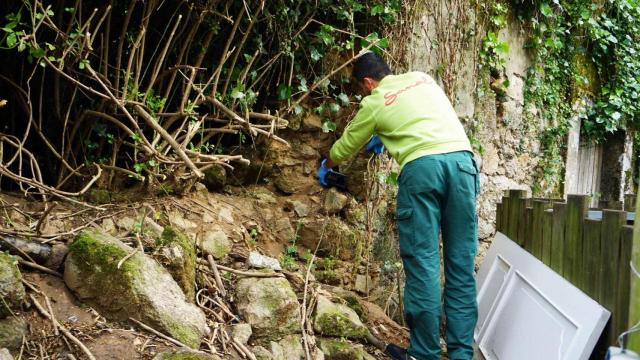 Colocación de trampas en Culleredo