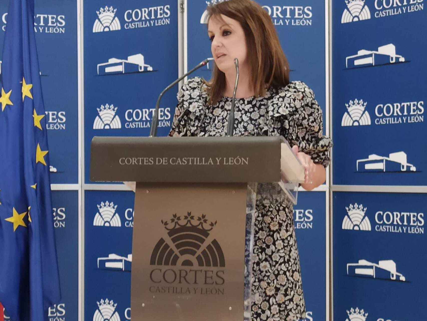 La portavoz del PSOE en las Cortes, Patricia Gómez Urbán, durante su rueda de prensa.