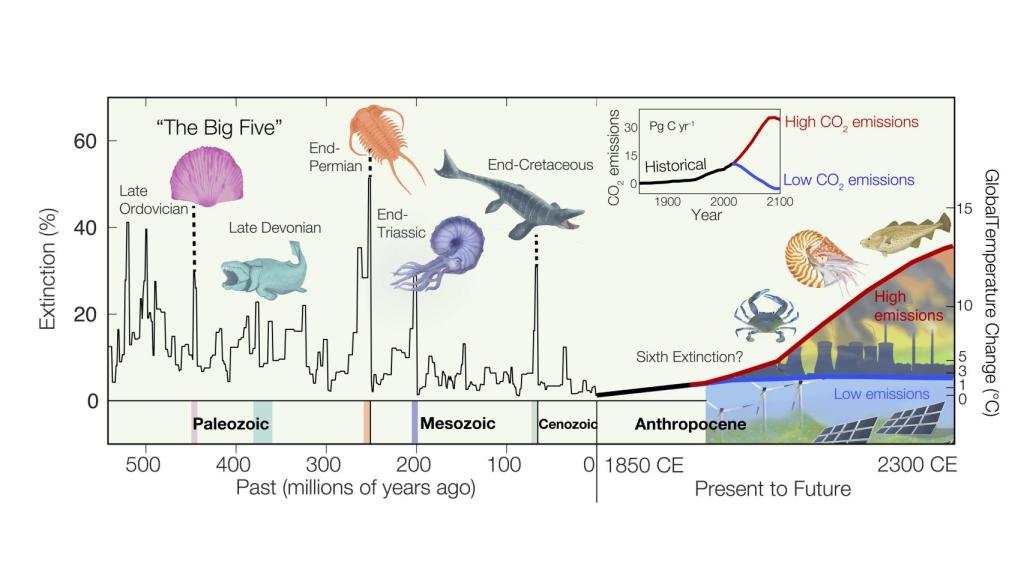 Cronología de las extinciones.