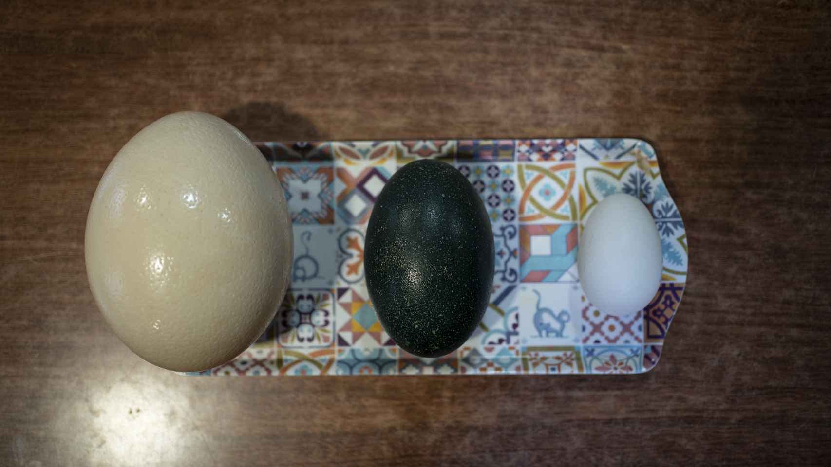 Huevos de avestruz, emú y oca.