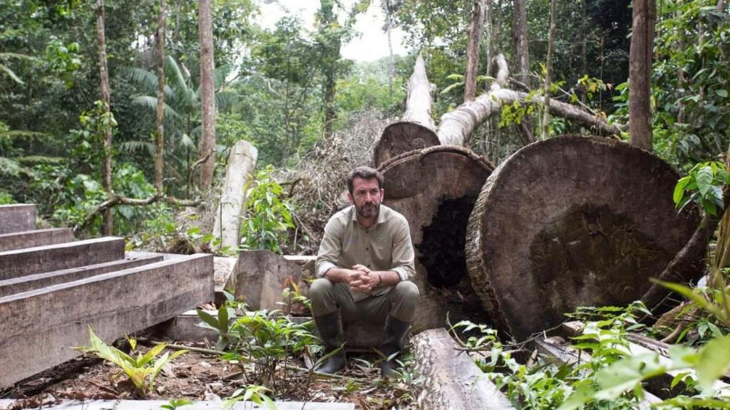 Arturo Valls, entre árboles (ceibas) gigantes talados por maderedos ilegales y que, al ser descubiertos, huyeron del lugar.