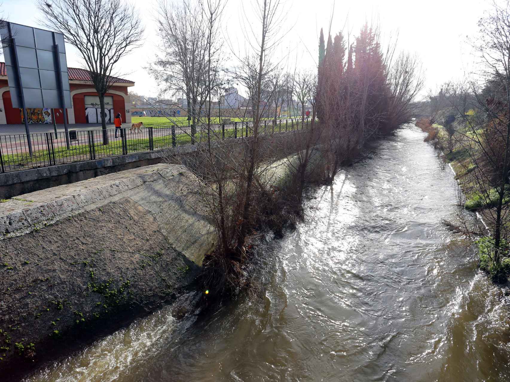 Crecida del río Esgueva a su paso por Valladolid. / ICAL