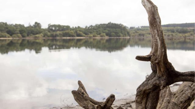 Embalse de Abegondo-Cecebre.