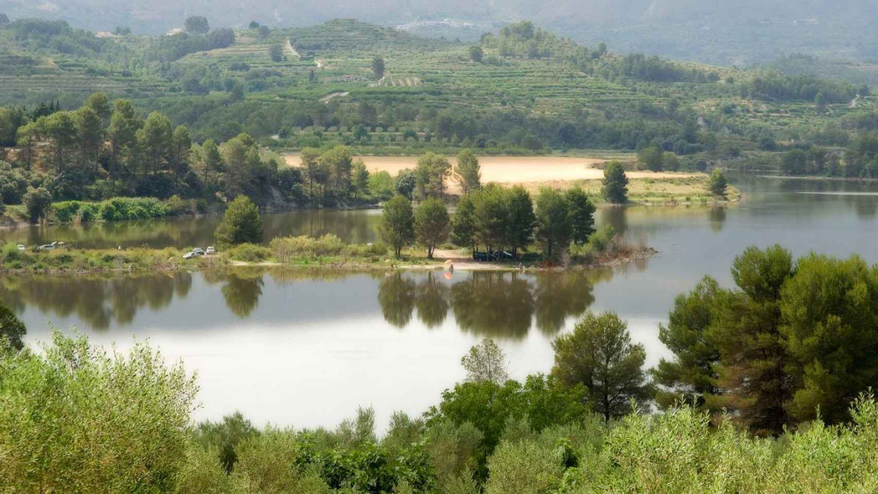 La Diputación invertirá más de un millón de euros en repoblación forestal en Alicante.