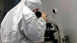 Así se investiga en tiempo récord la causa de las hepatitis de origen desconocido en niños