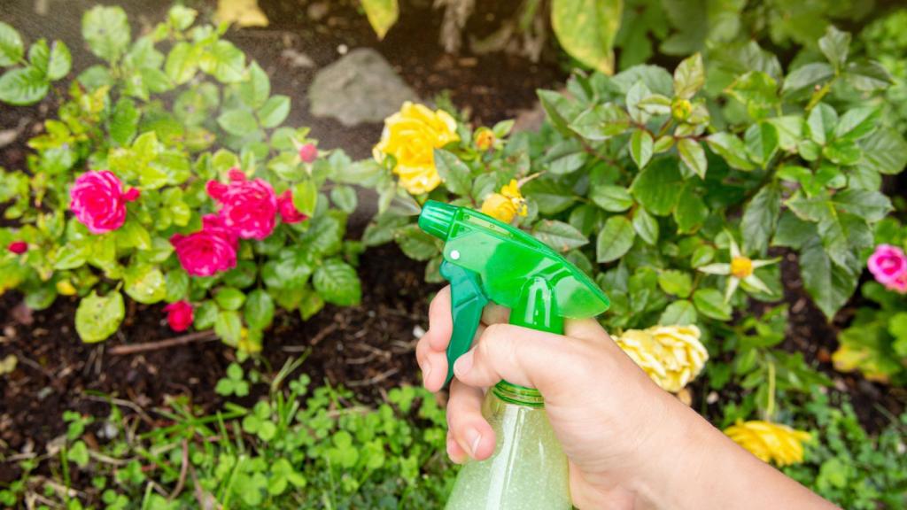 Una persona sostiene un spray de insecticida casero