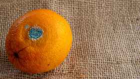 Imagen de archivo de una mandarina.