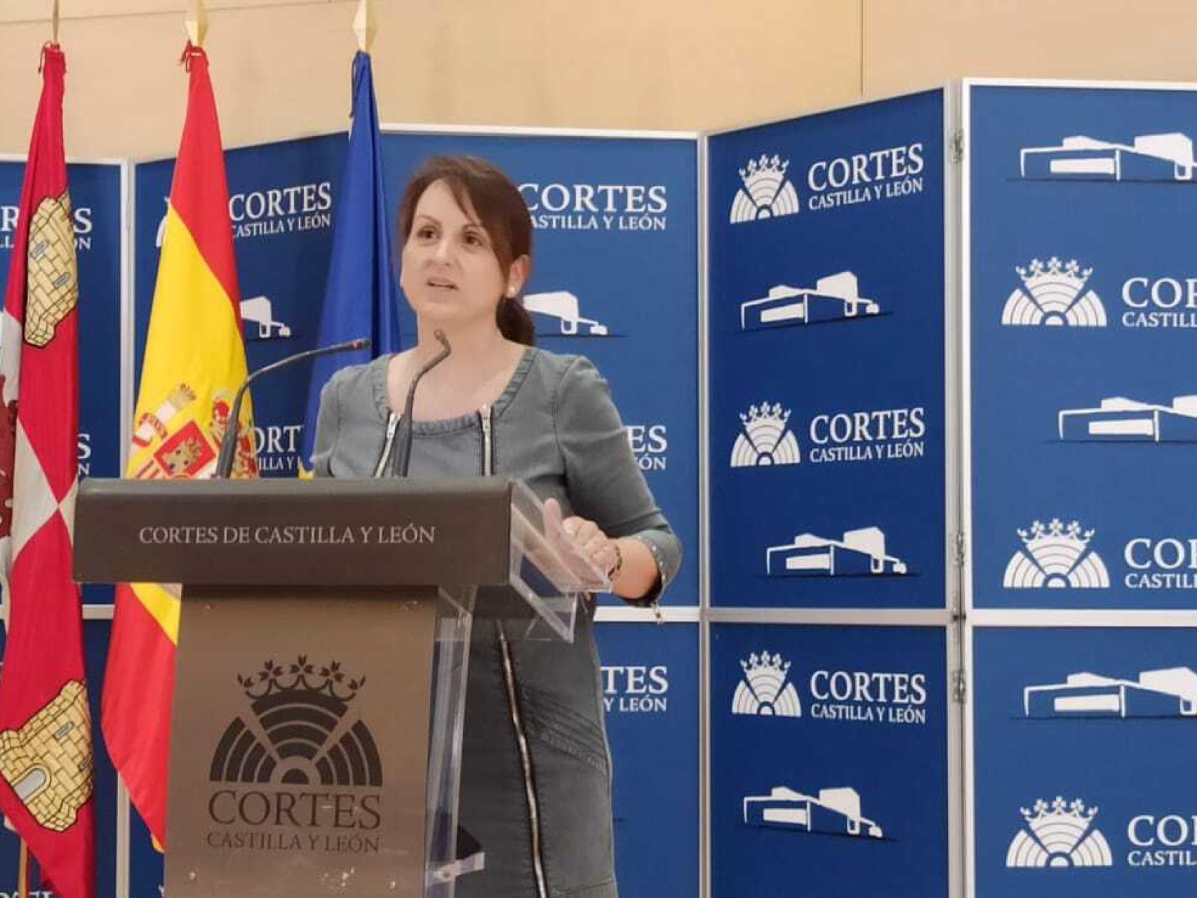 La procuradora del PSOE, Patricia Gómez Urbán, durante la rueda de prensa de este jueves en las Cortes.
