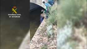 La Guardia Civil rescata a un corzo de un canal de agua en Toledo