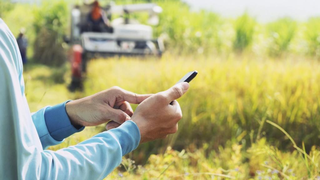 Un usuario utilizando su smartphone en el campo.