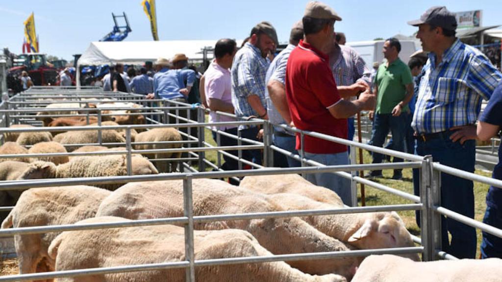 Última edición de la Feria Ganadera de San Isidro