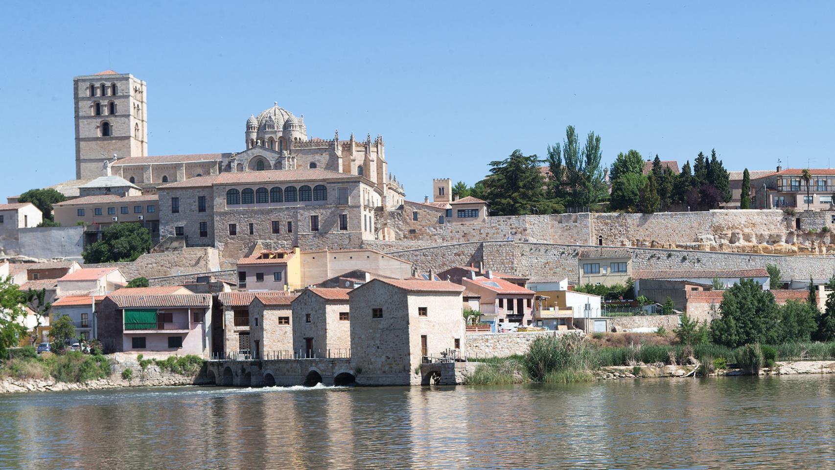 Playa de los Pelambres - Zamora