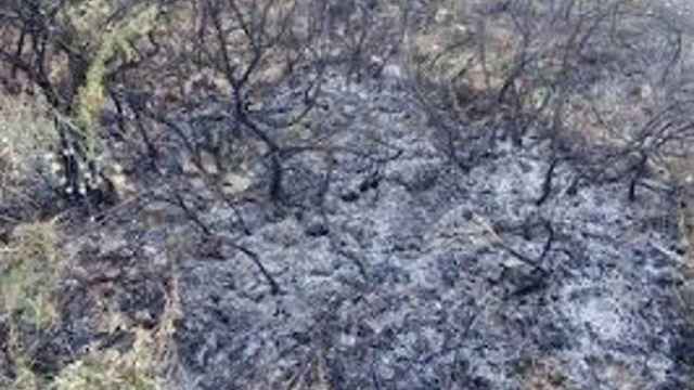 El hombre podría haber provocado un terrible incendio en los Montes de Málaga.