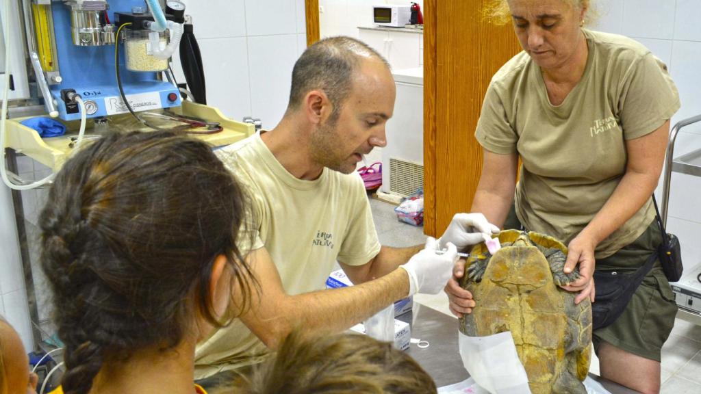 También se visitará la Clínica Veterinaria.