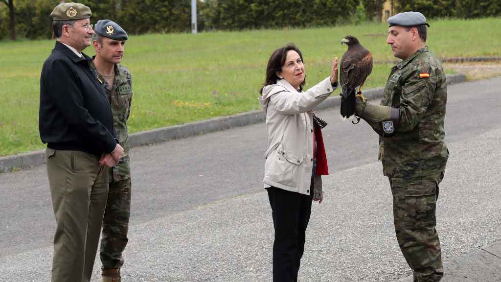 La ministra de Defensa, Margarita Robles, acaricia al águila de Harris durante su visita de este viernes al acuartelamiento de Cabo Noval en Oviedo.