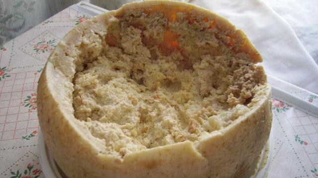 Queso Casu Marzu.