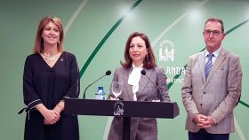 La delegada del Gobierno andaluz en Málaga, Patricia Navarro, en el centro de la imagen, será suplida temporalmente por la delegada de Fomento y Cultura, Carmen Casero.