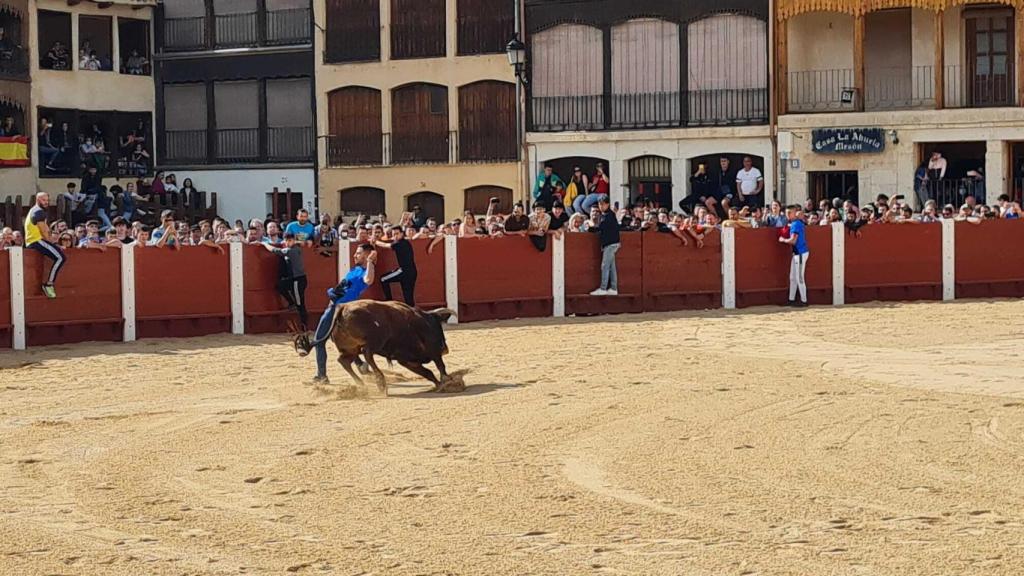 Roberto Redondo recibe al novillo