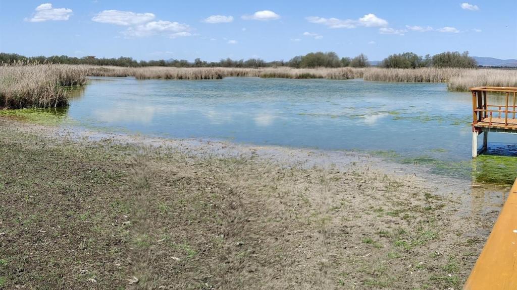 Las Tablas de Daimiel (Ciudad Real).