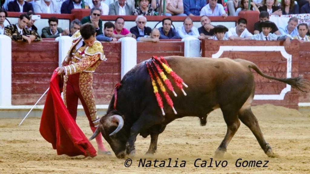 Feria de San Pedro Regalado en la edición de 2022.