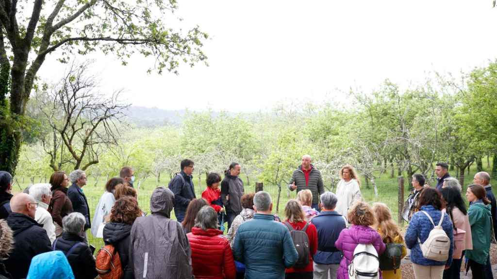 Rutas ‘Maceiras en flor’.