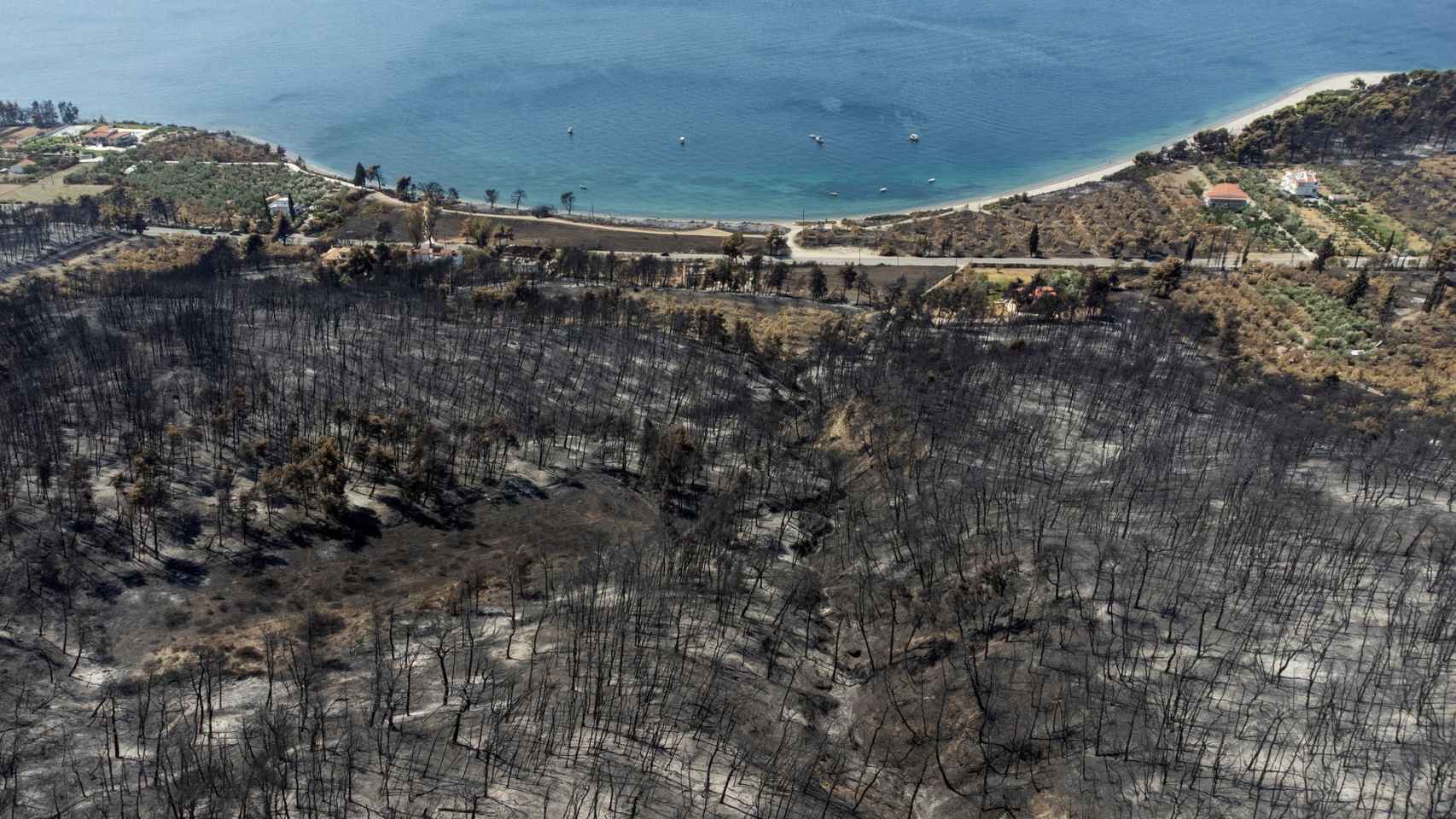 Las colinas de la isla griega de Eubea, tras los incendios del pasado agosto.