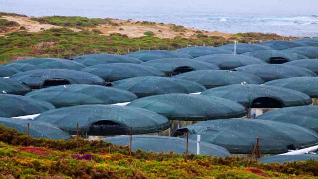 Granja de acuicultura en la costa gallega.