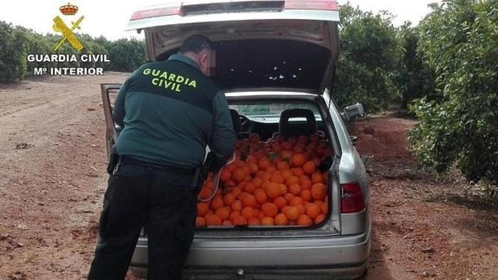 Un agente de la Guardia Civil intercepta a un ladrón de naranjas, en imagen de archivo.