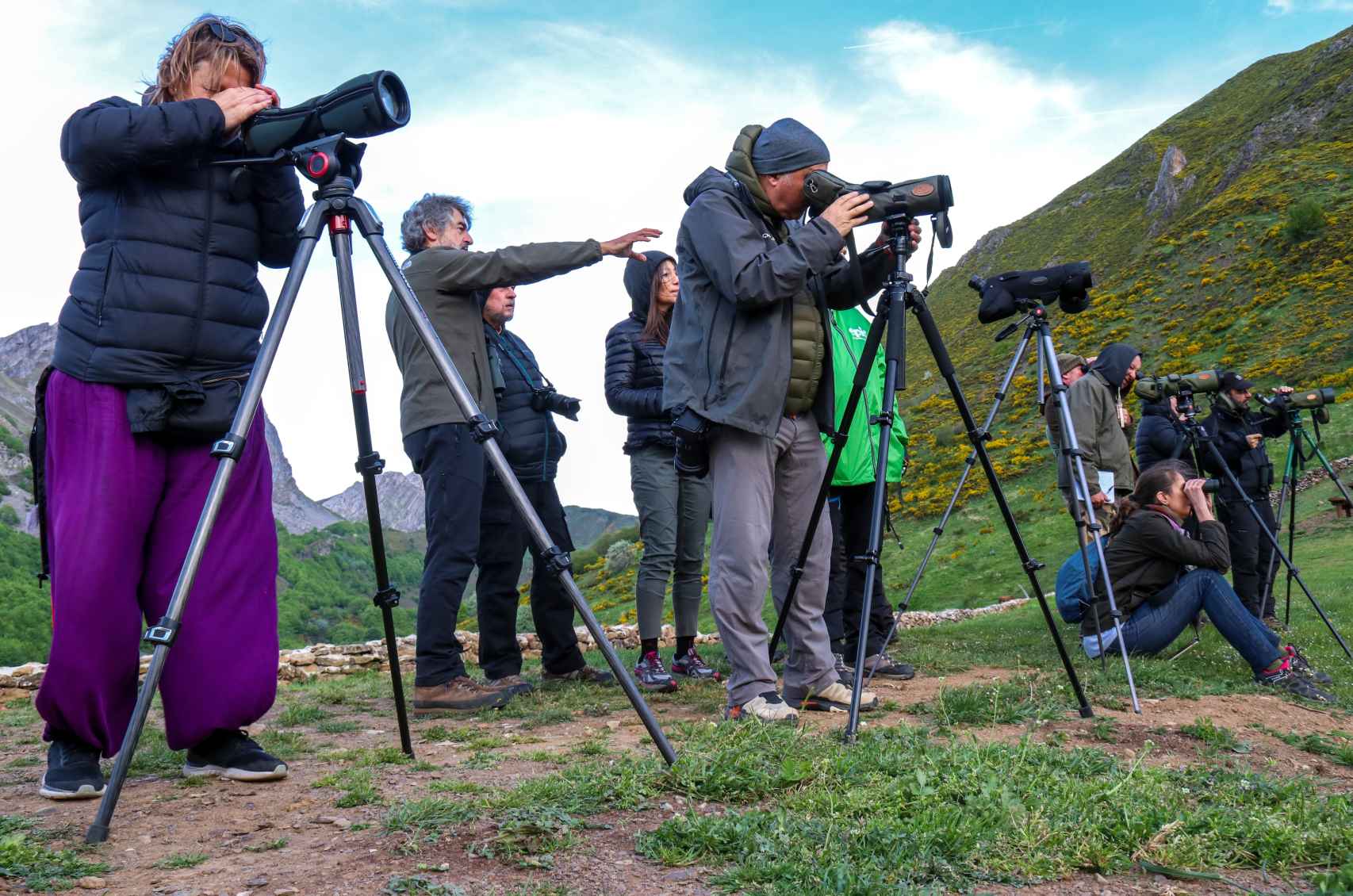 Periodistas de medios nacionales e internacionales participan en las sesiones de avistamiento de osos pardos en libertad