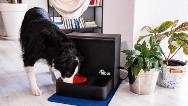 La robótica ha llegado también al sector 'petcare' y pone la tecnología al servicio de la alimentación saludable y sostenible para nuestras mascotas.