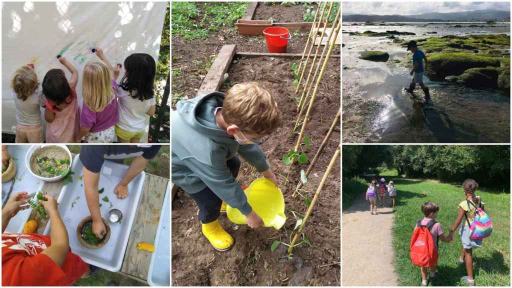 Actividades de Donde viven los cuentos.