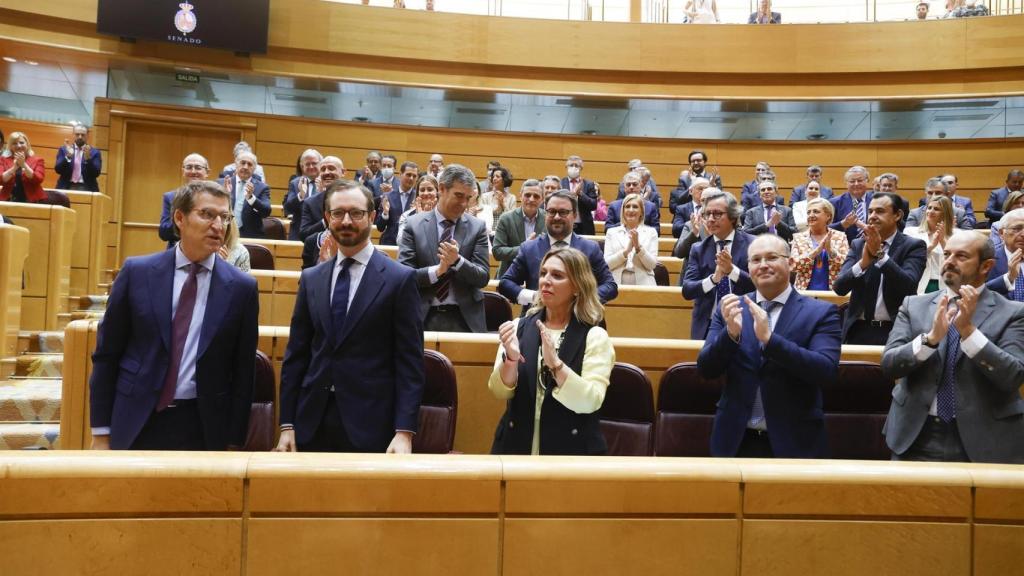 Núñez Feijóo ocupa su escaño junto al portavoz, Javier Maroto, entre aplausos de los senadores del PP.