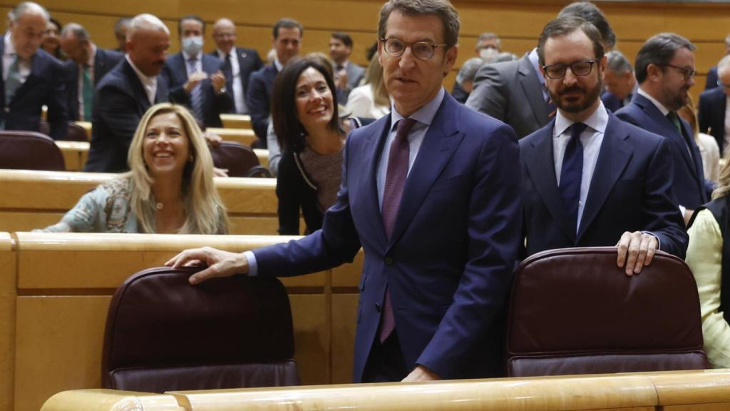 Alberto Núñez Feijóo, este miércoles, al ocupar su escaño en el Senado junto a Javier Maroto.
