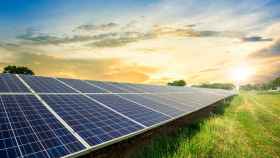 La energía solar y la agricultura, unidas por la protección del medio ambiente