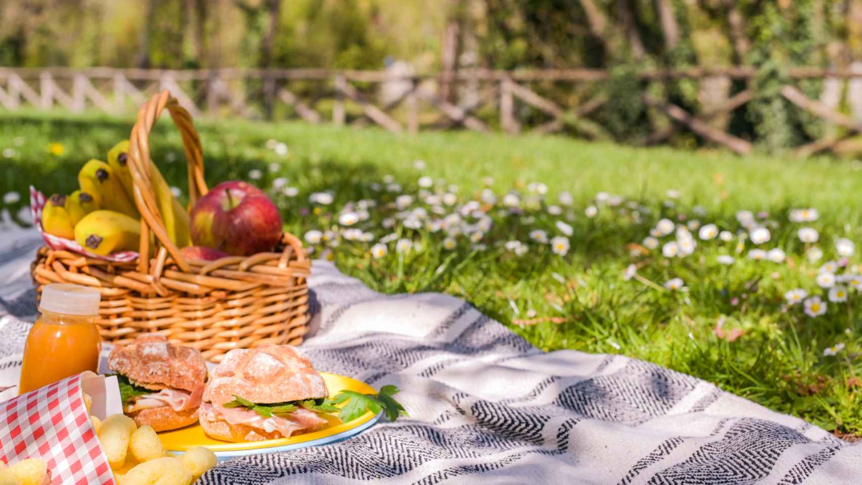 Picnic en una imagen de archivo.