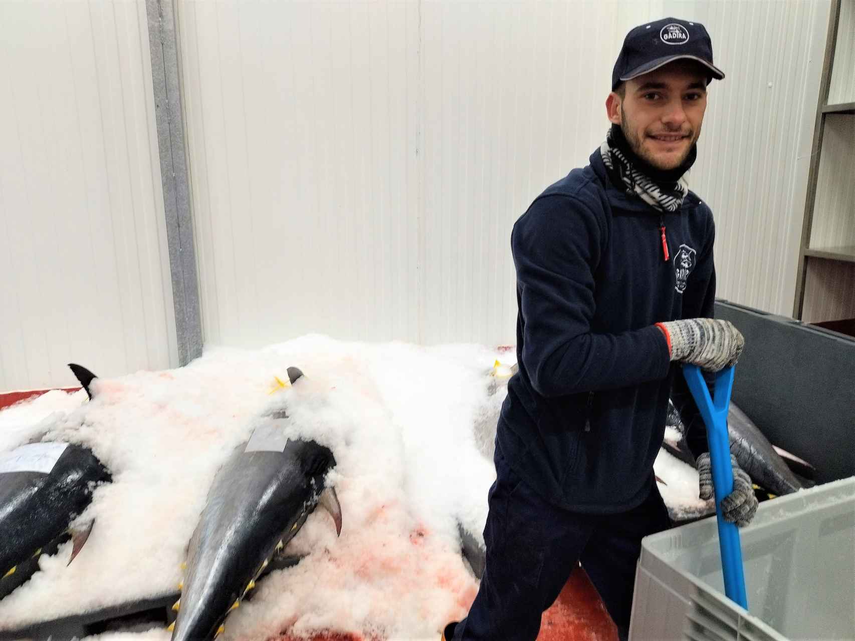 Raúl Canales cubre con hielo atunes enteros en la fábrica principal de Gadira en Barbate.