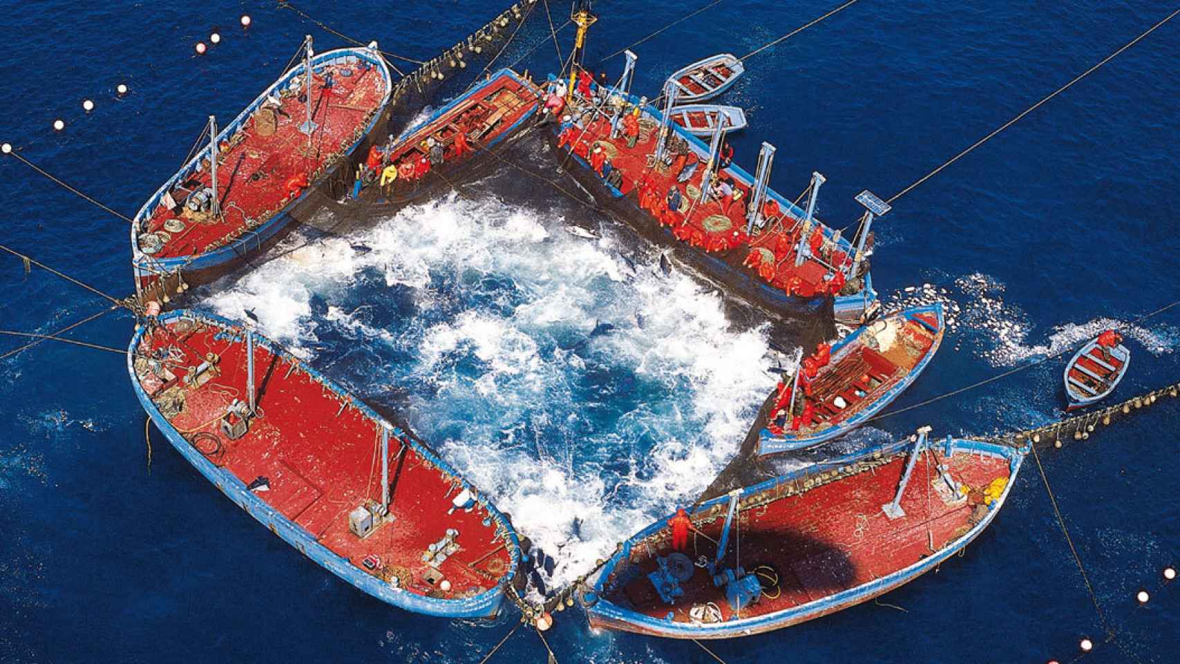 Vista aérea del copo de una almadraba para pescar atunes rojos en la costa atlántica de Cádiz