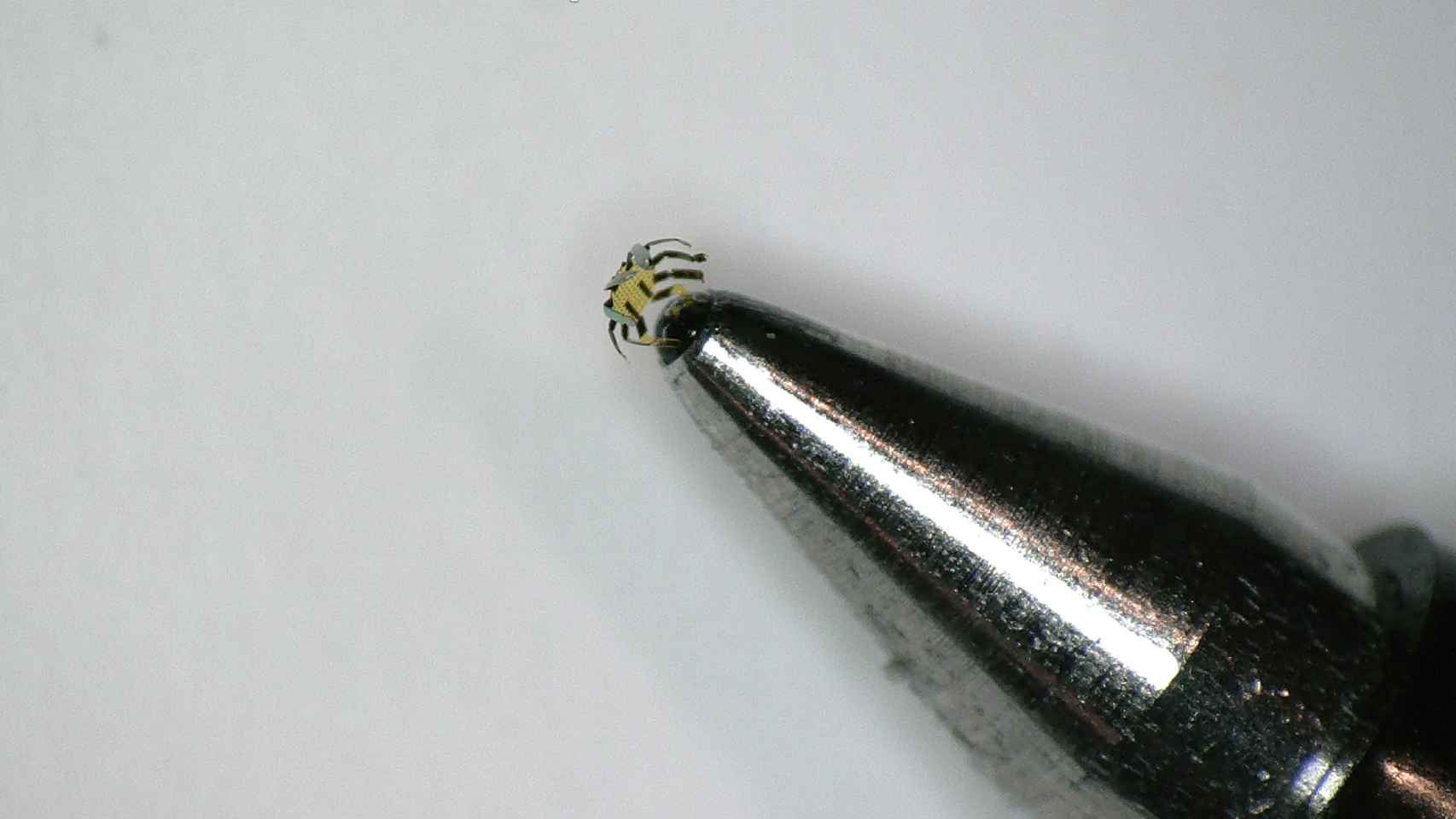 El microrobot al lado de la punta de un bolígrafo
