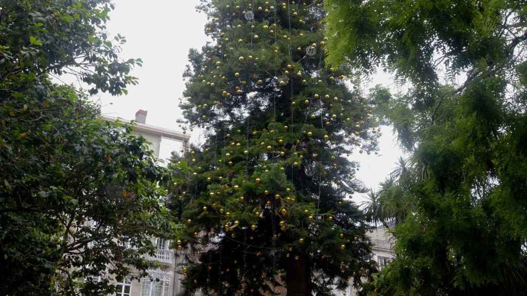 Árbol con las luces de Navidad puestas en mayo.