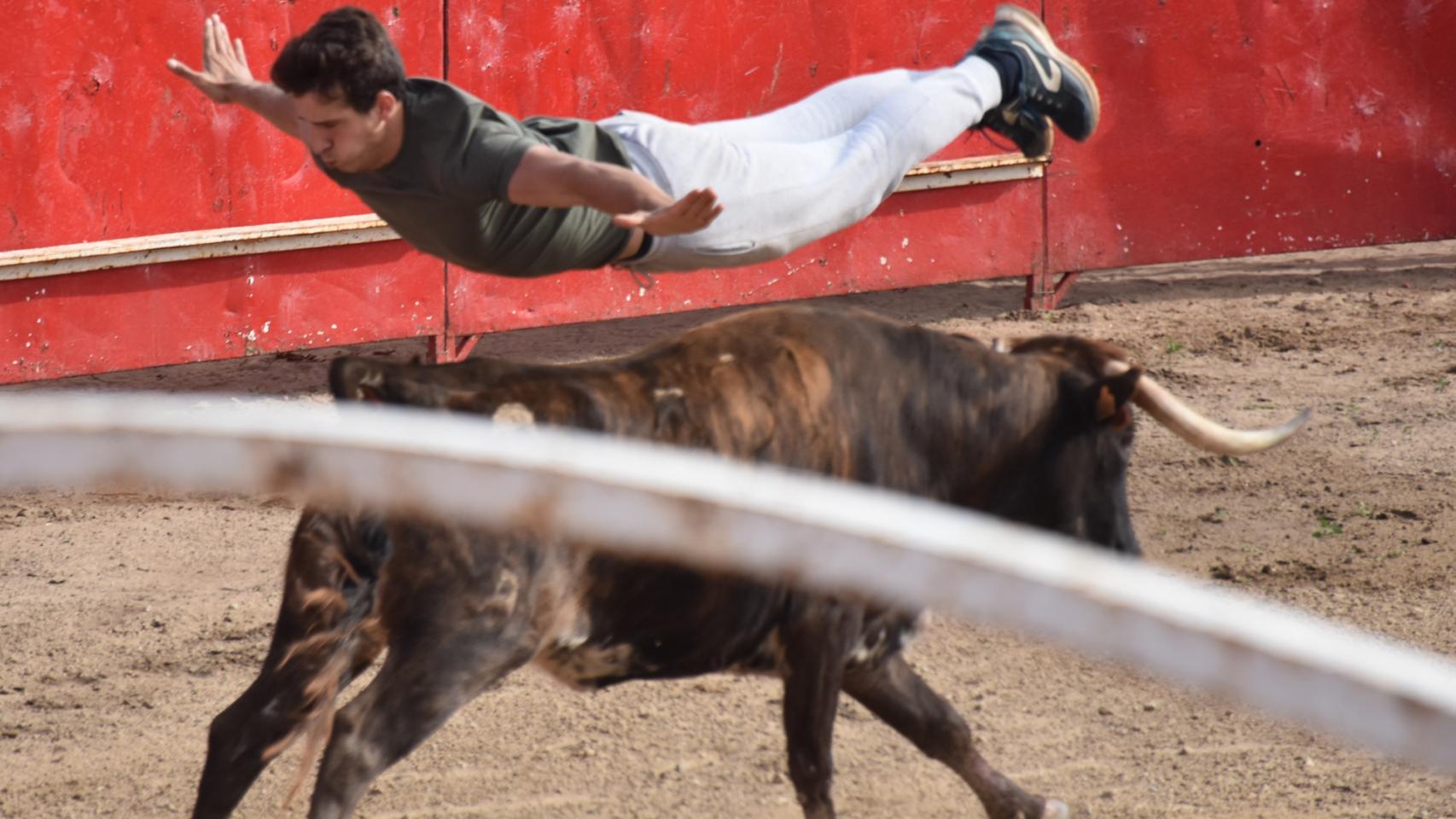 Imágenes de los cortes y capea en las fiestas de Villamayor