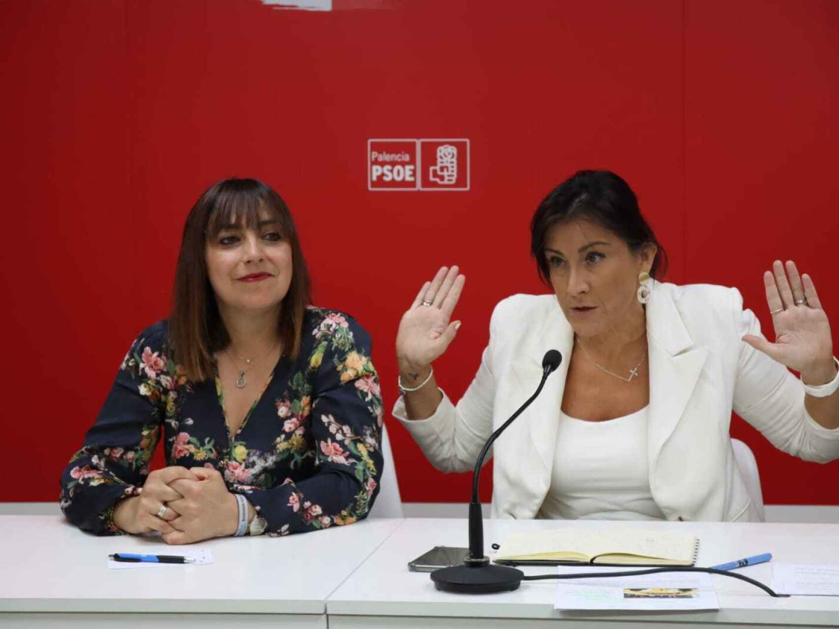 La secretaria de organización del PSCyL, Ana Sánchez, durante la rueda de prensa de este miércoles en Palencia.
